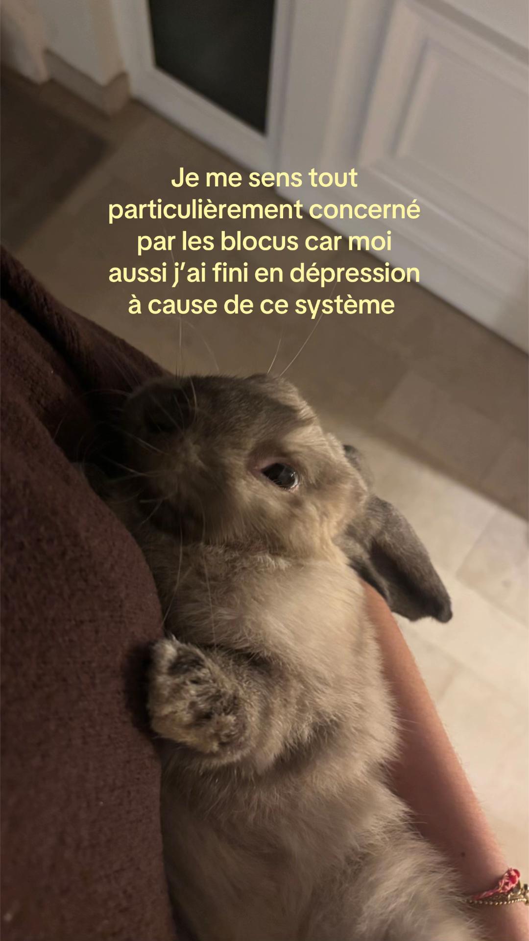@𝐾aren