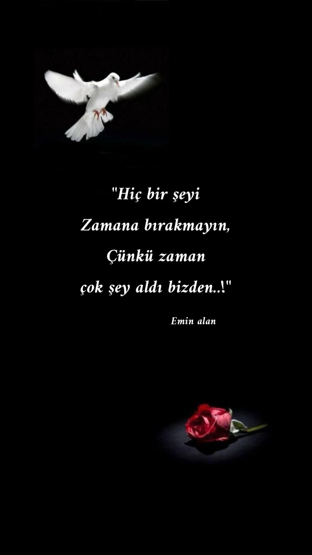 @Emin Alan