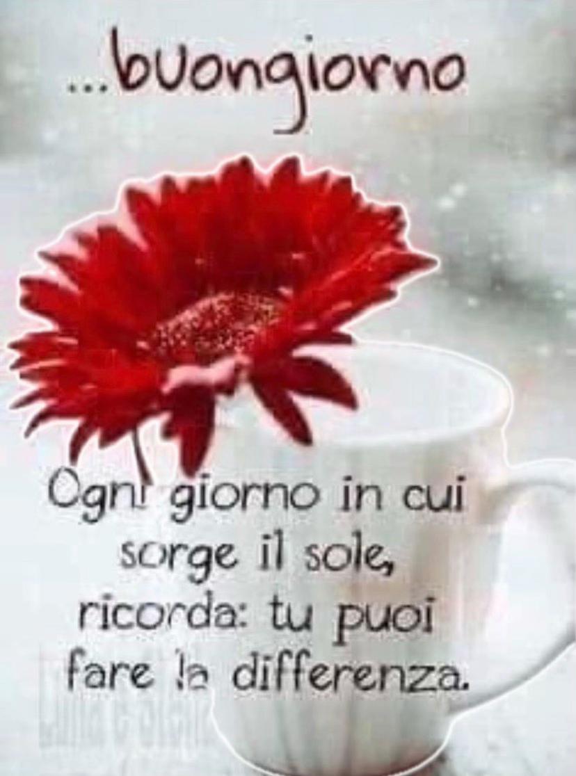 @rosariorizzolo578