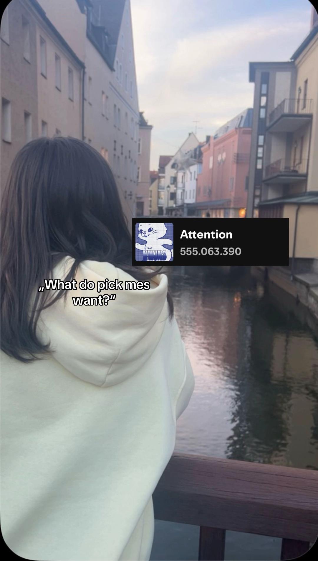 @🐈&zwj;⬛