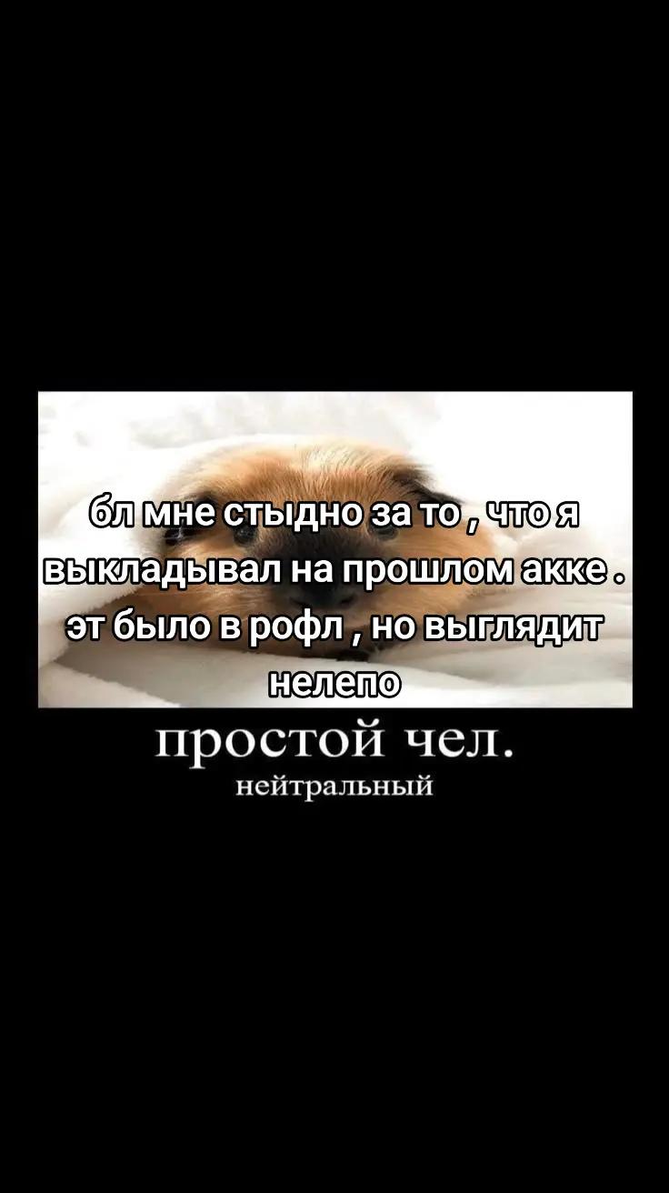 @Заоблачный перчик/перчинский
