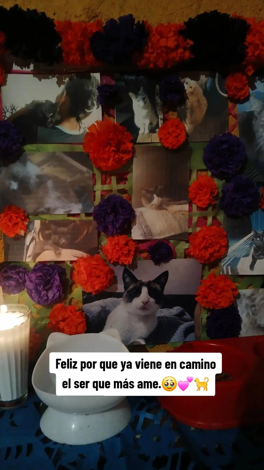 @Daniela♡♡.