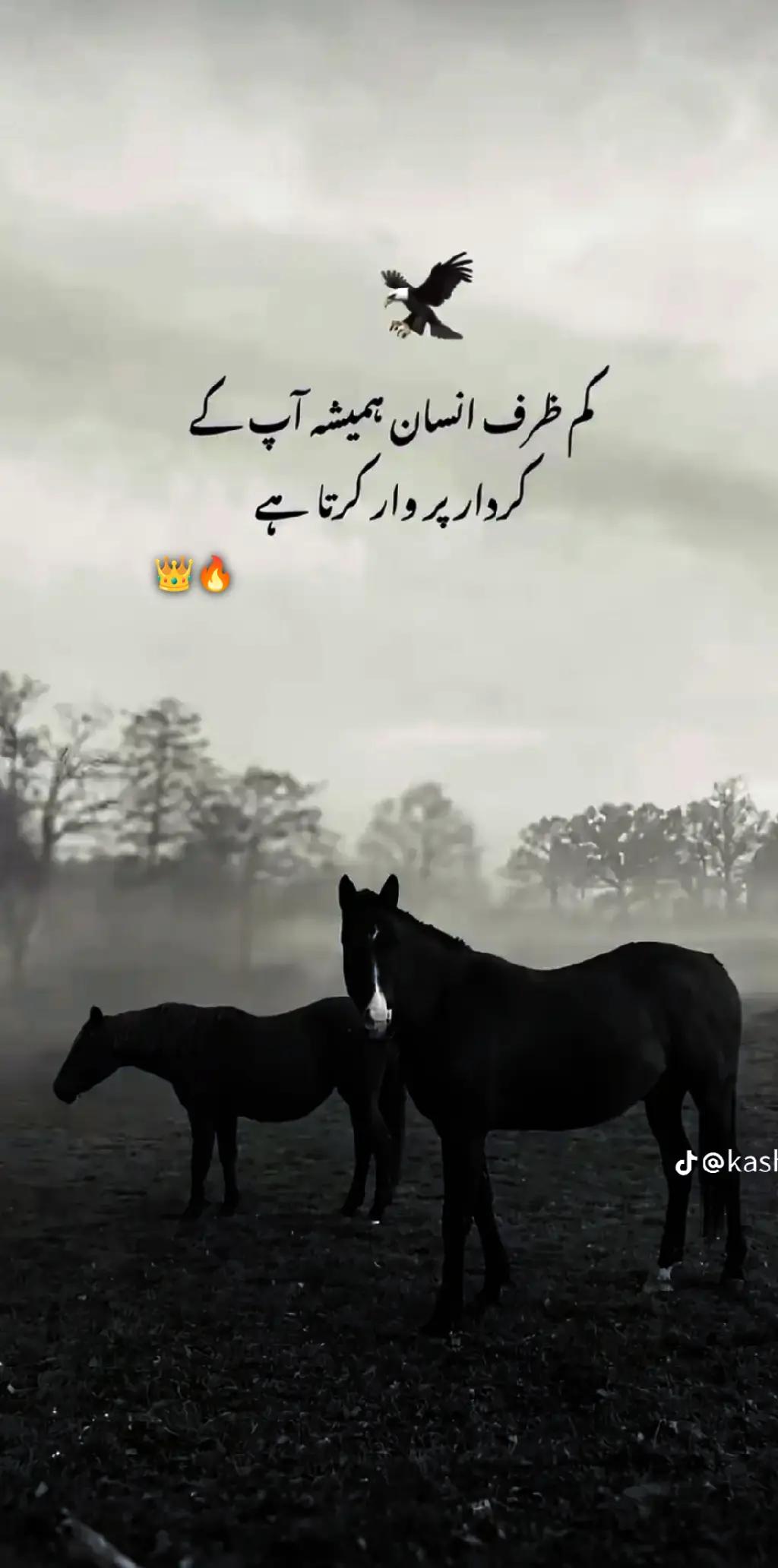 @🚩علی کہتے ہیں 🏴&zwj;☠️❤️&zwj;🔥