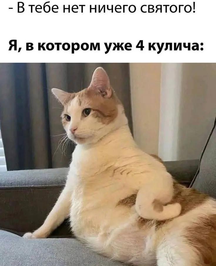 @(づ｡◕‿‿◕｡)づ
