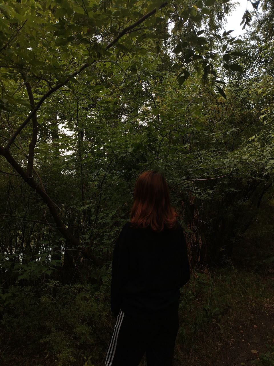 @lonely star