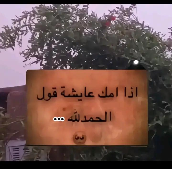 @Khaled Saleh