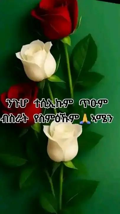@Abrham Tsehaye