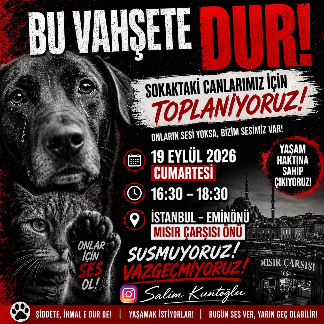 @Salim Kuntoğlu