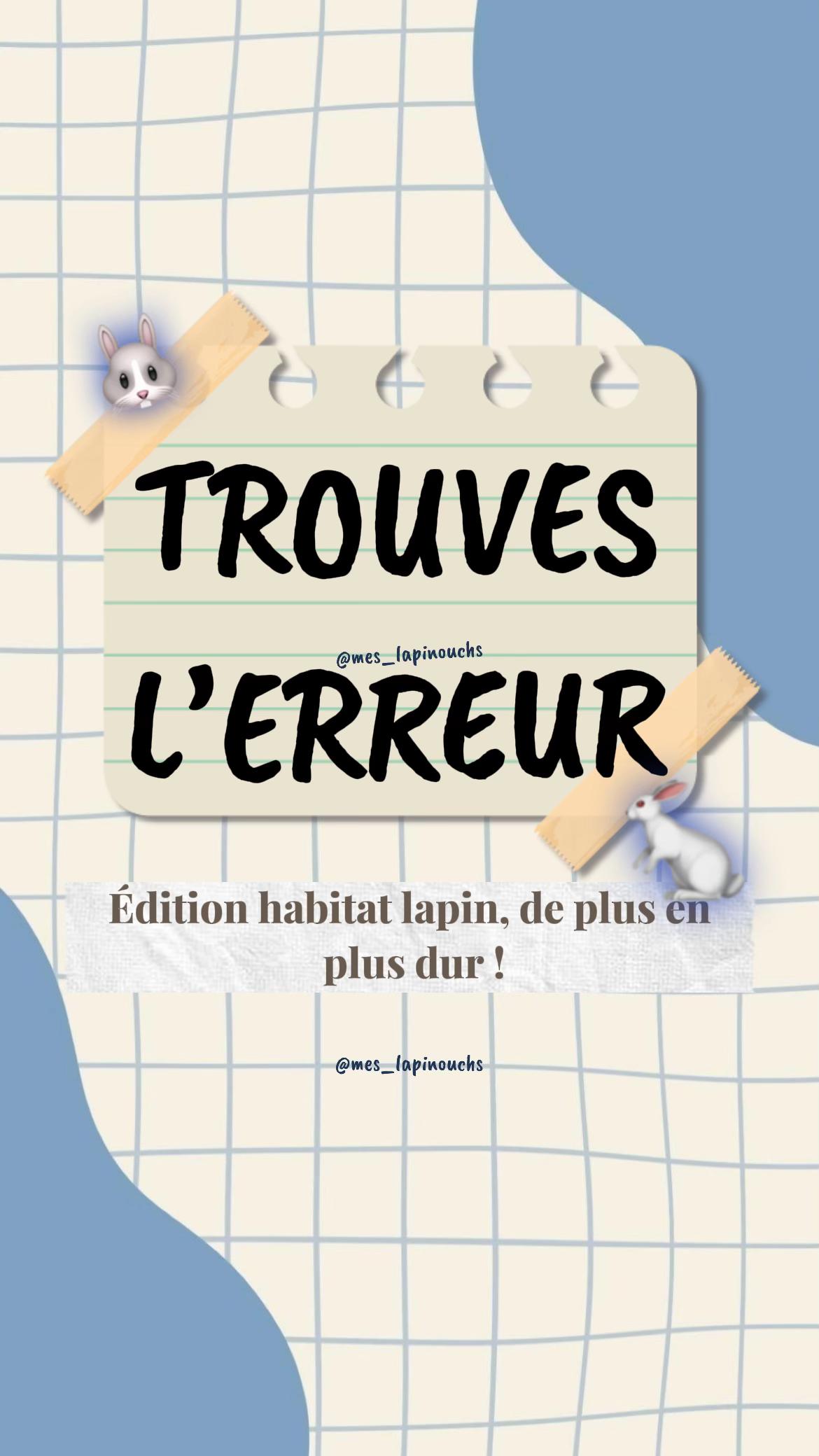 @Mes lapinouchs 🐰🐹