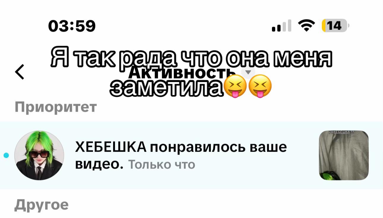 @Sasha off🐅
