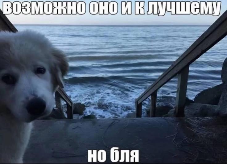 @qrtq&