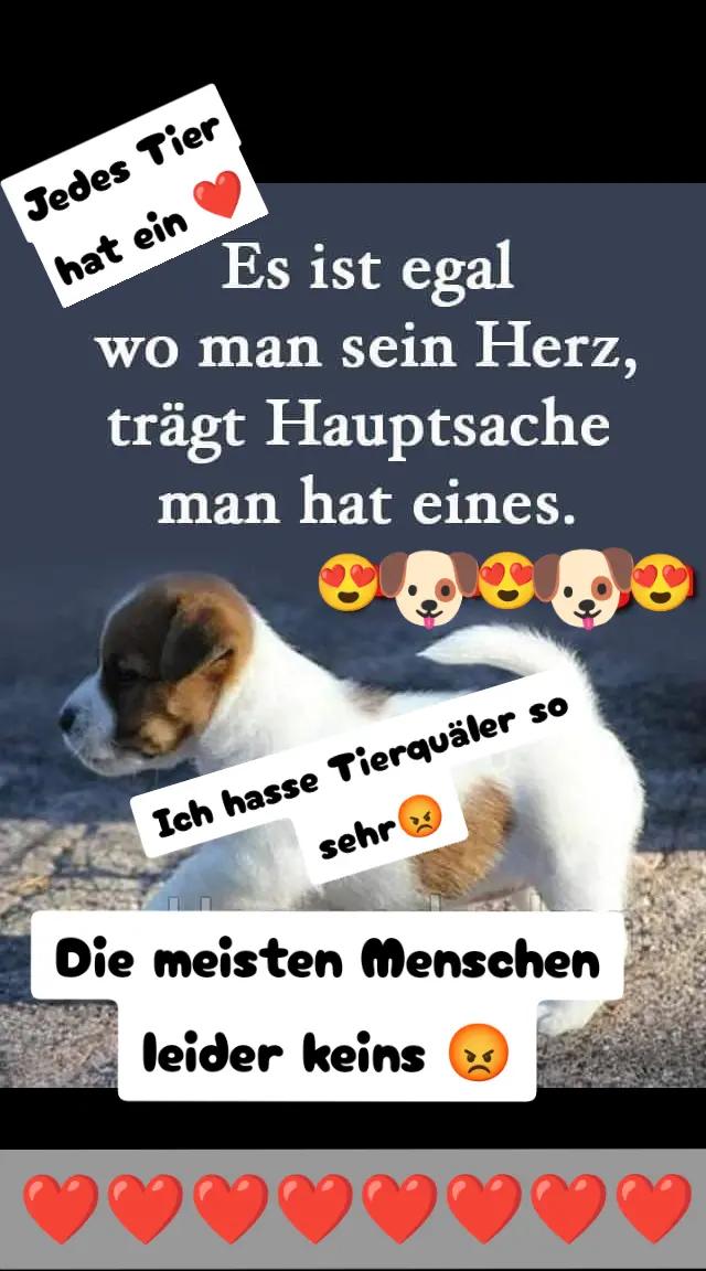 @Sini1977