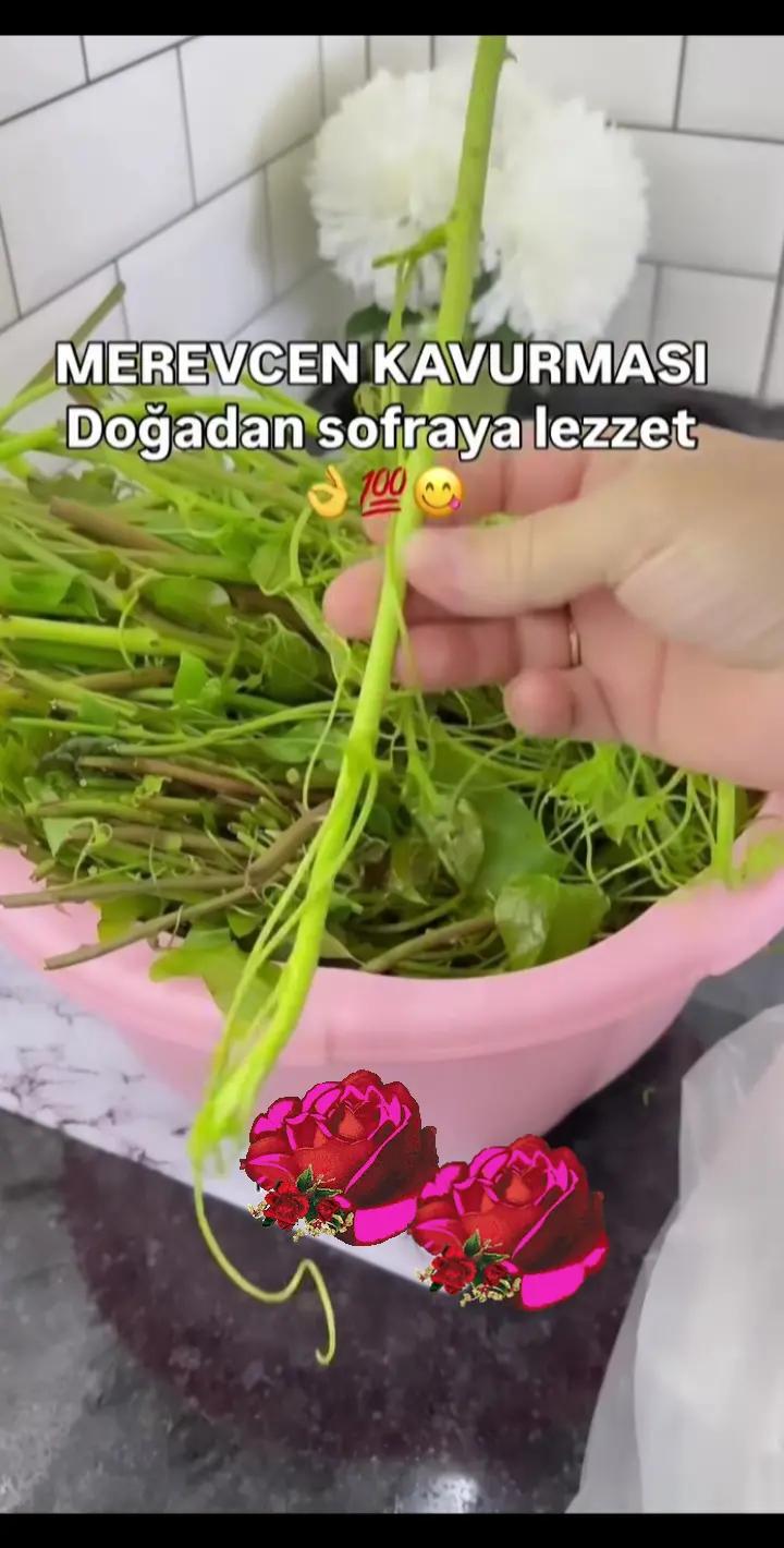 @Serpil G&uuml;neş