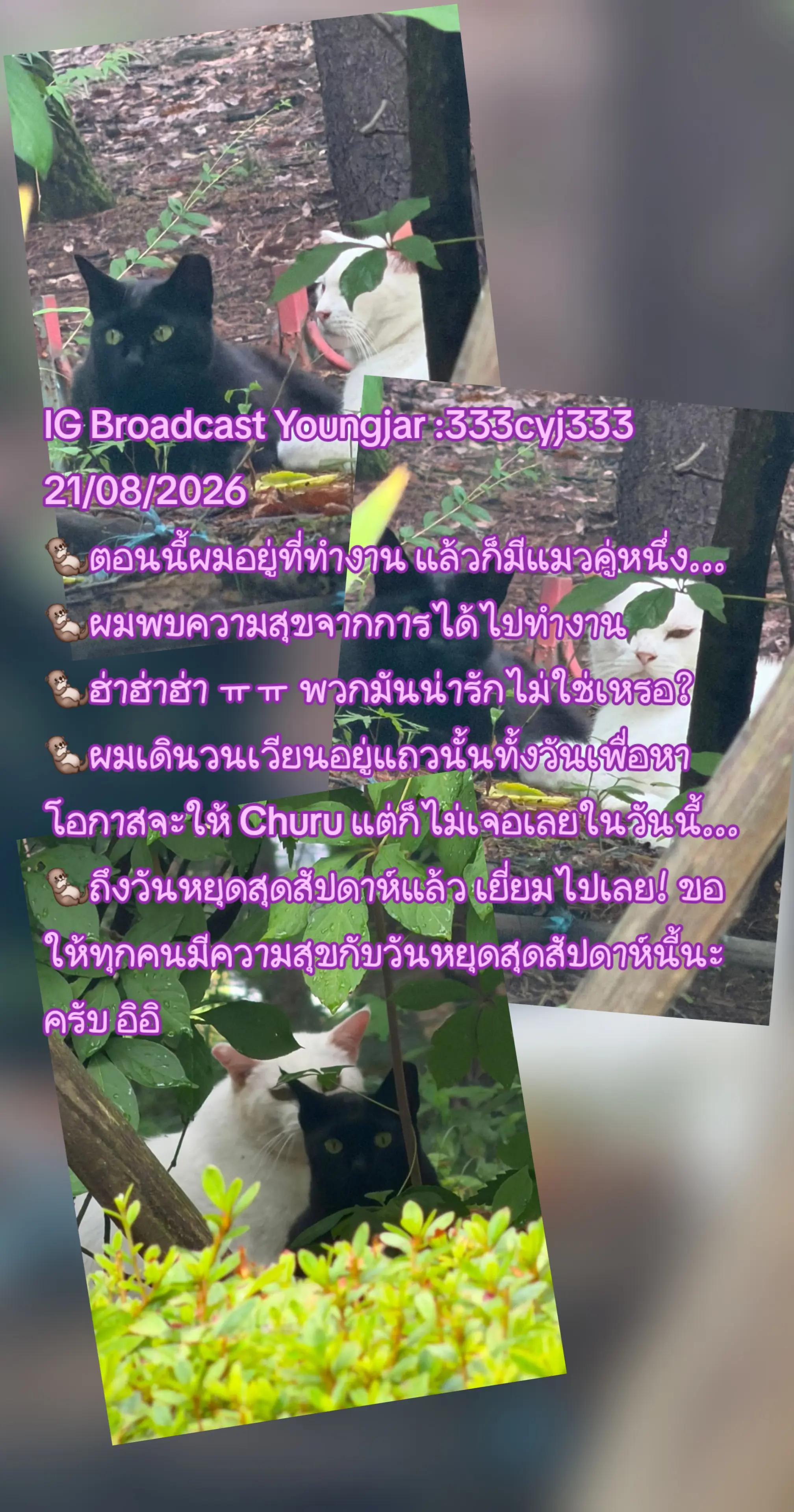 @Nat_GOT7🌴🐊🐢🍑🦦🐍🐜💚🕊️❤️