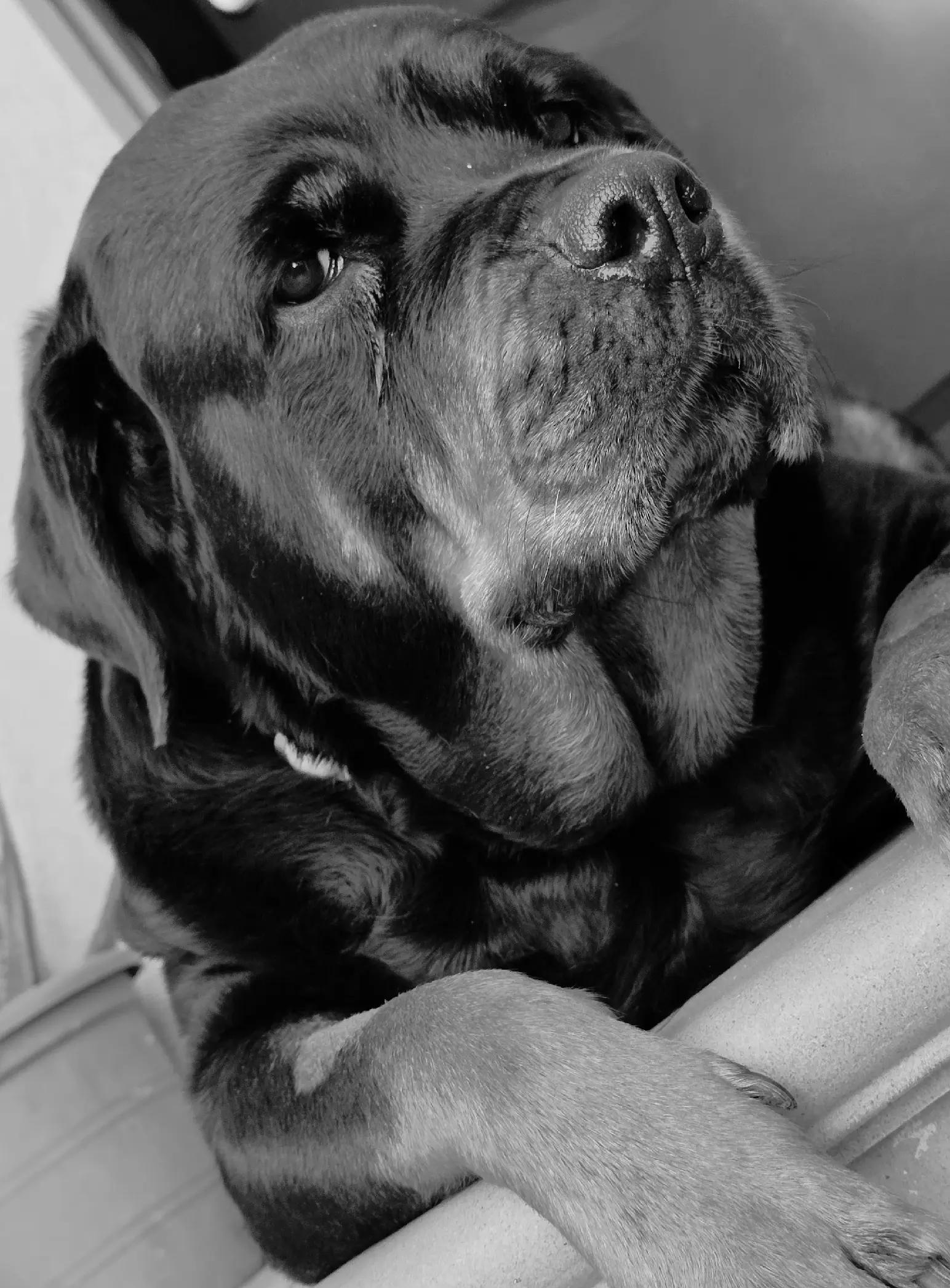 @❤️KyRa❤️RoTTie