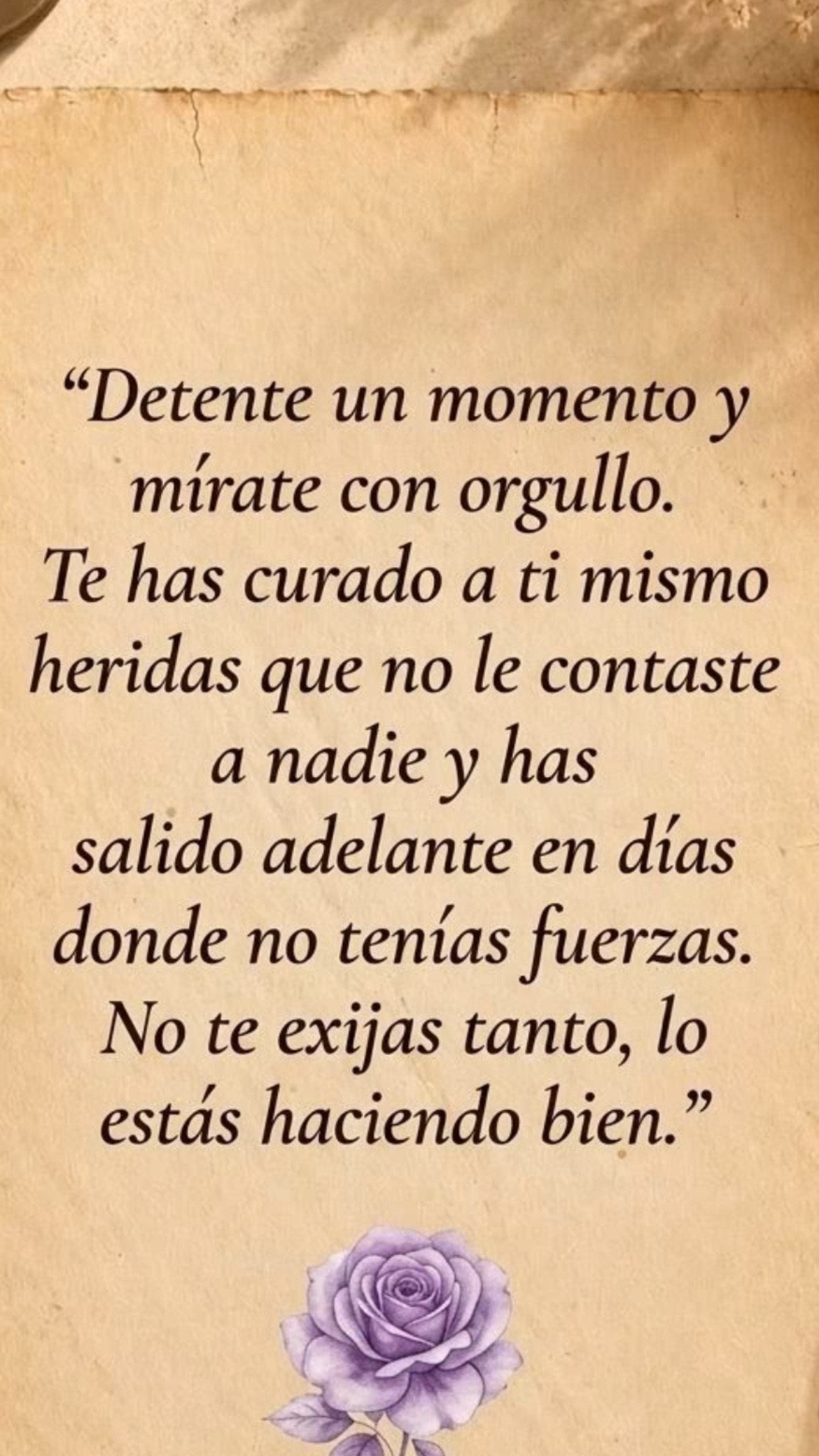 @Pedro Cruz