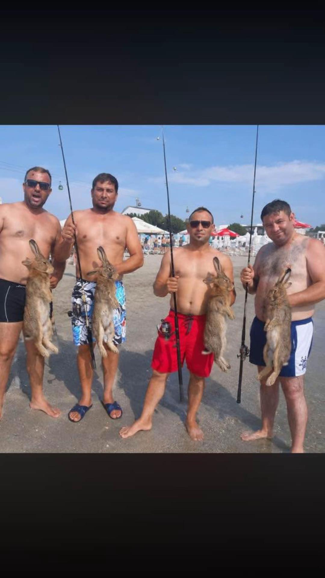@Royal carp 🐟🐟🤩💪