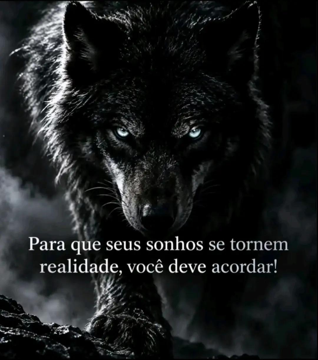 @aureliocampusano