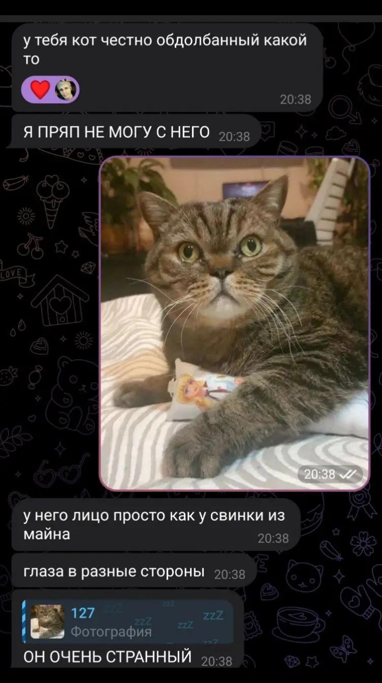 @на аве моя девушка мечты