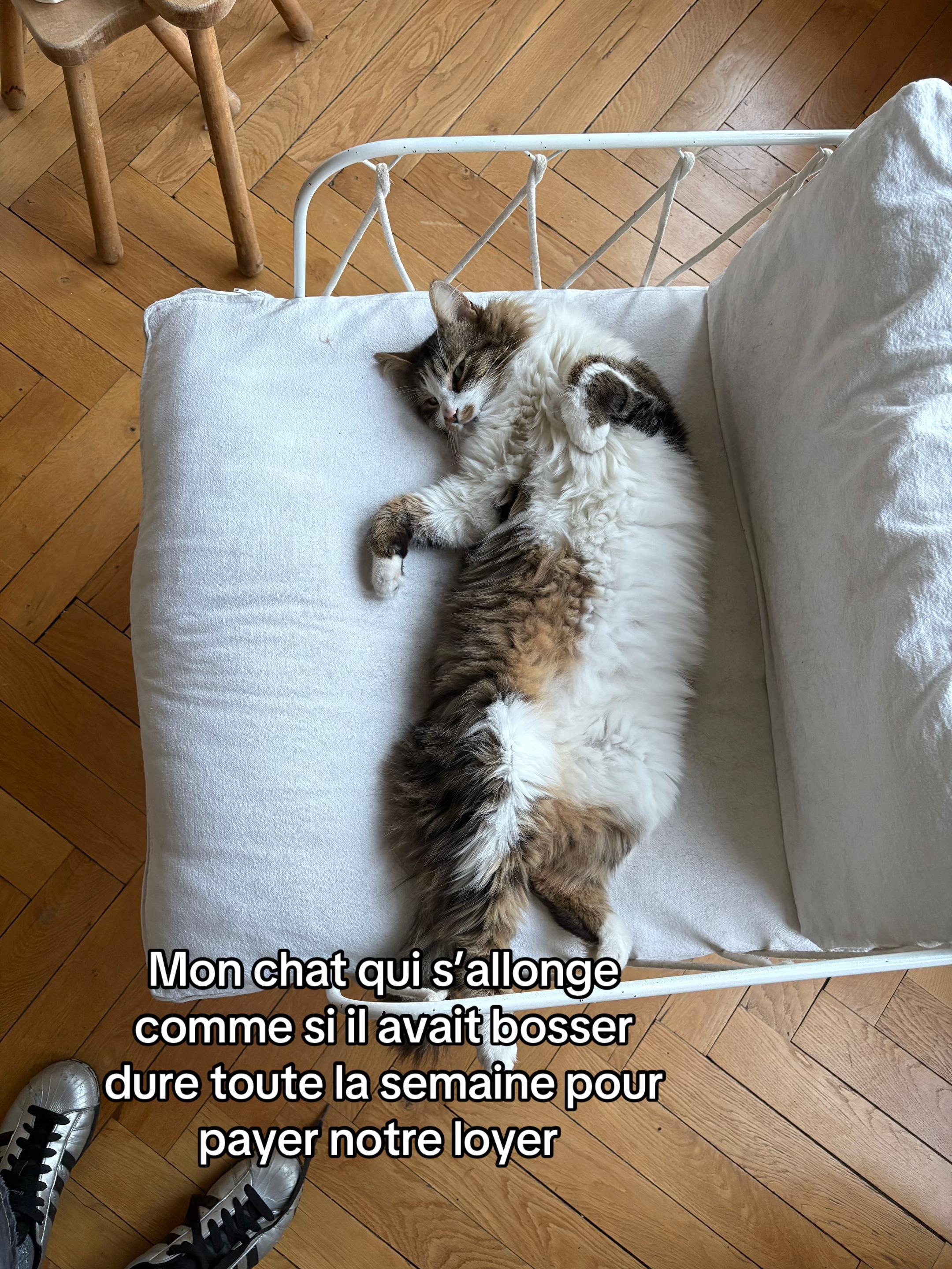 @Hanae