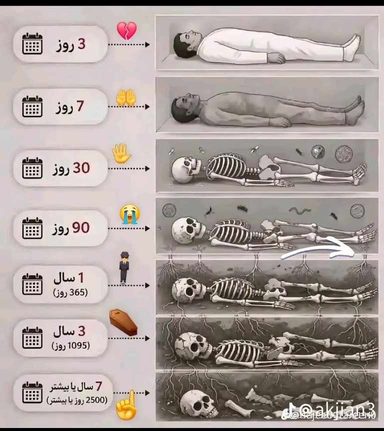 @✴𝔸𝕫𝕚𝕫𝕚❈804࿐³0²✴🔹
