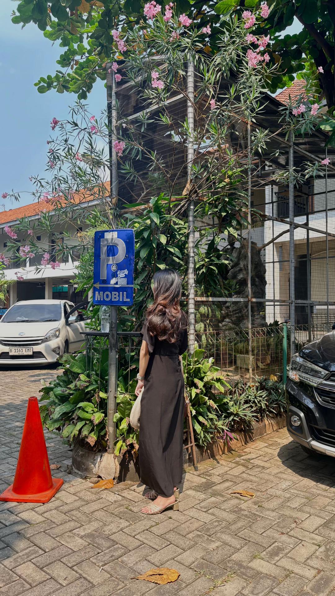 @nanasiph