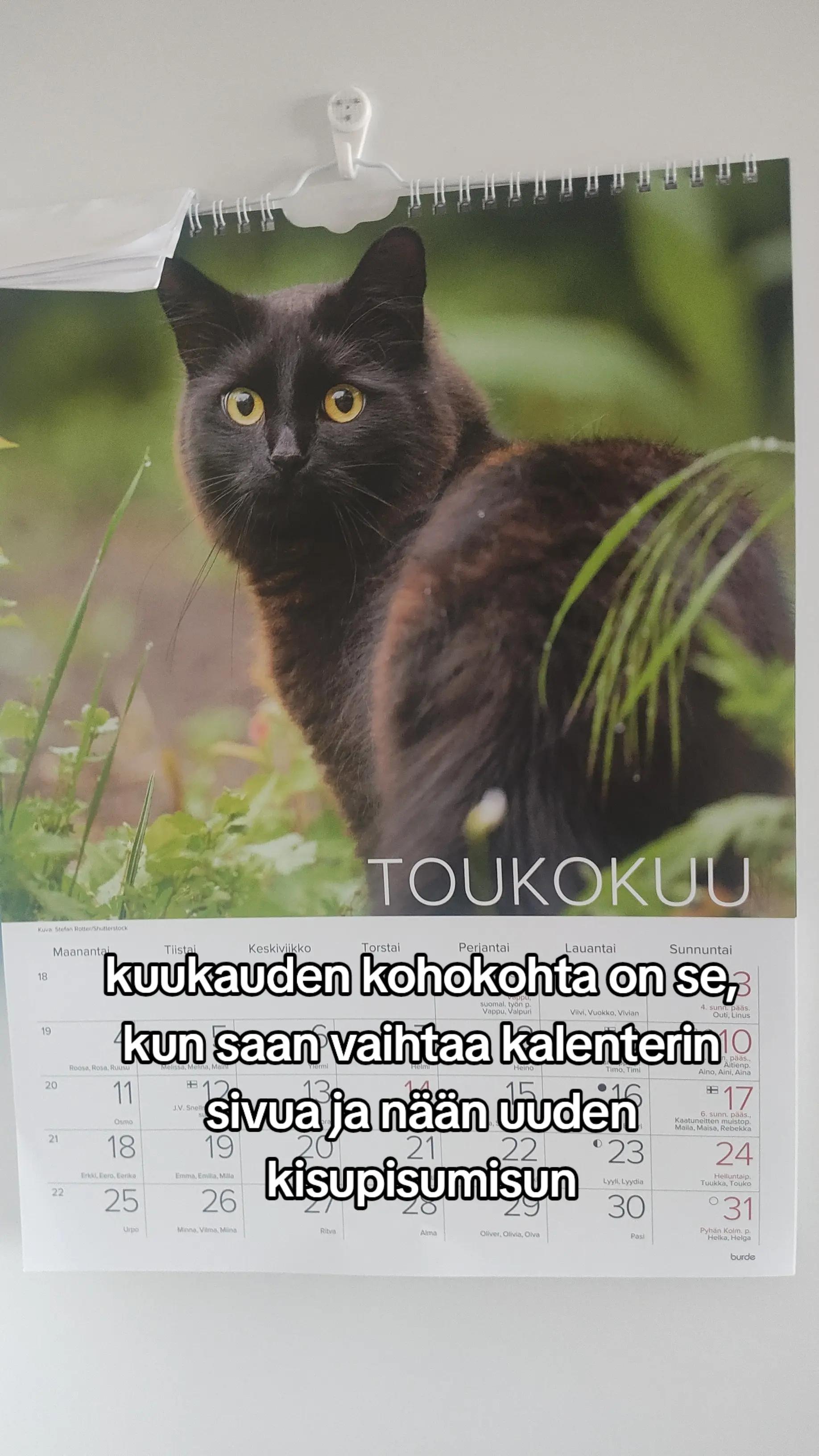 @metsämyyrä