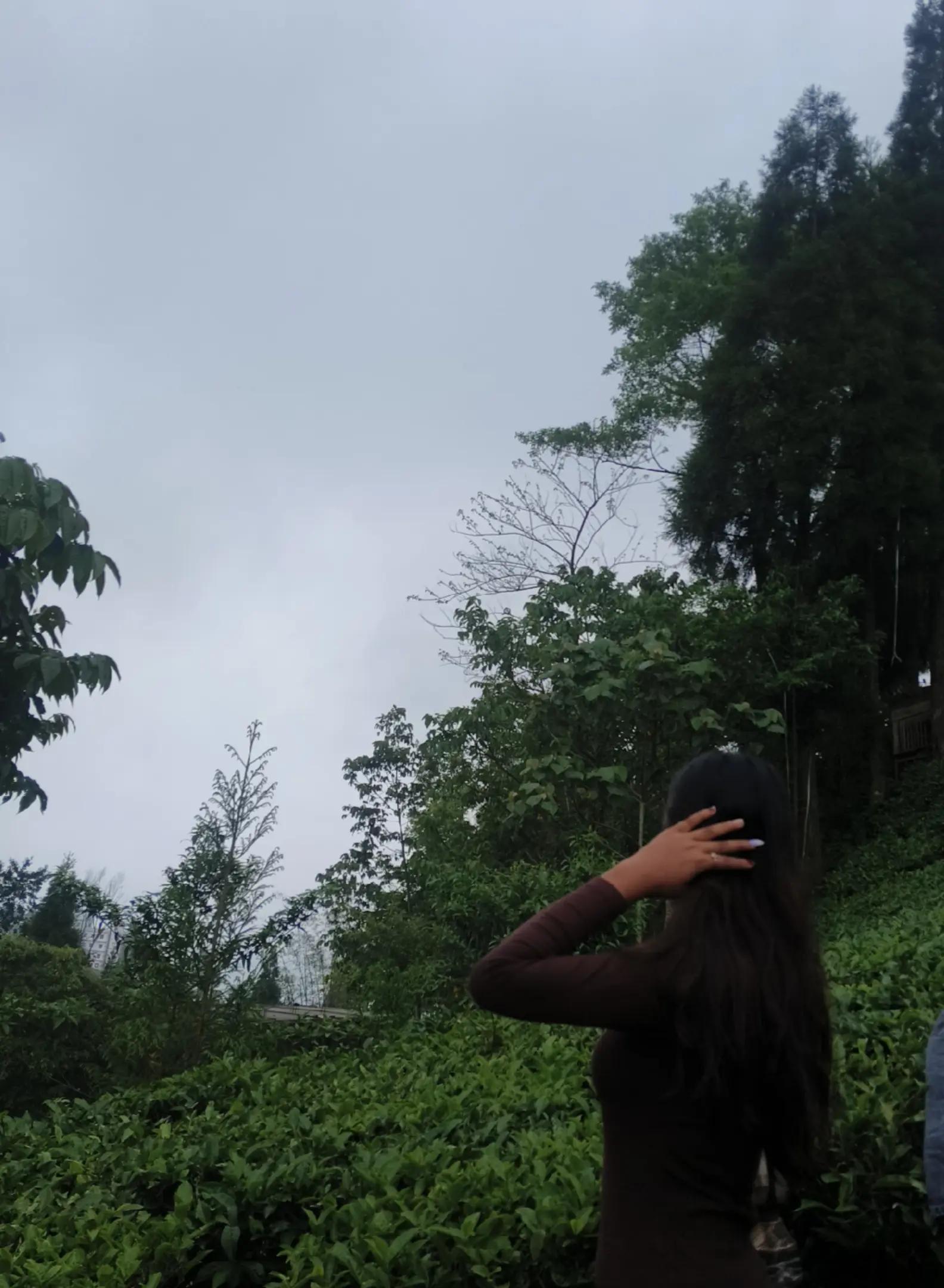 @Alishaaaa🌷