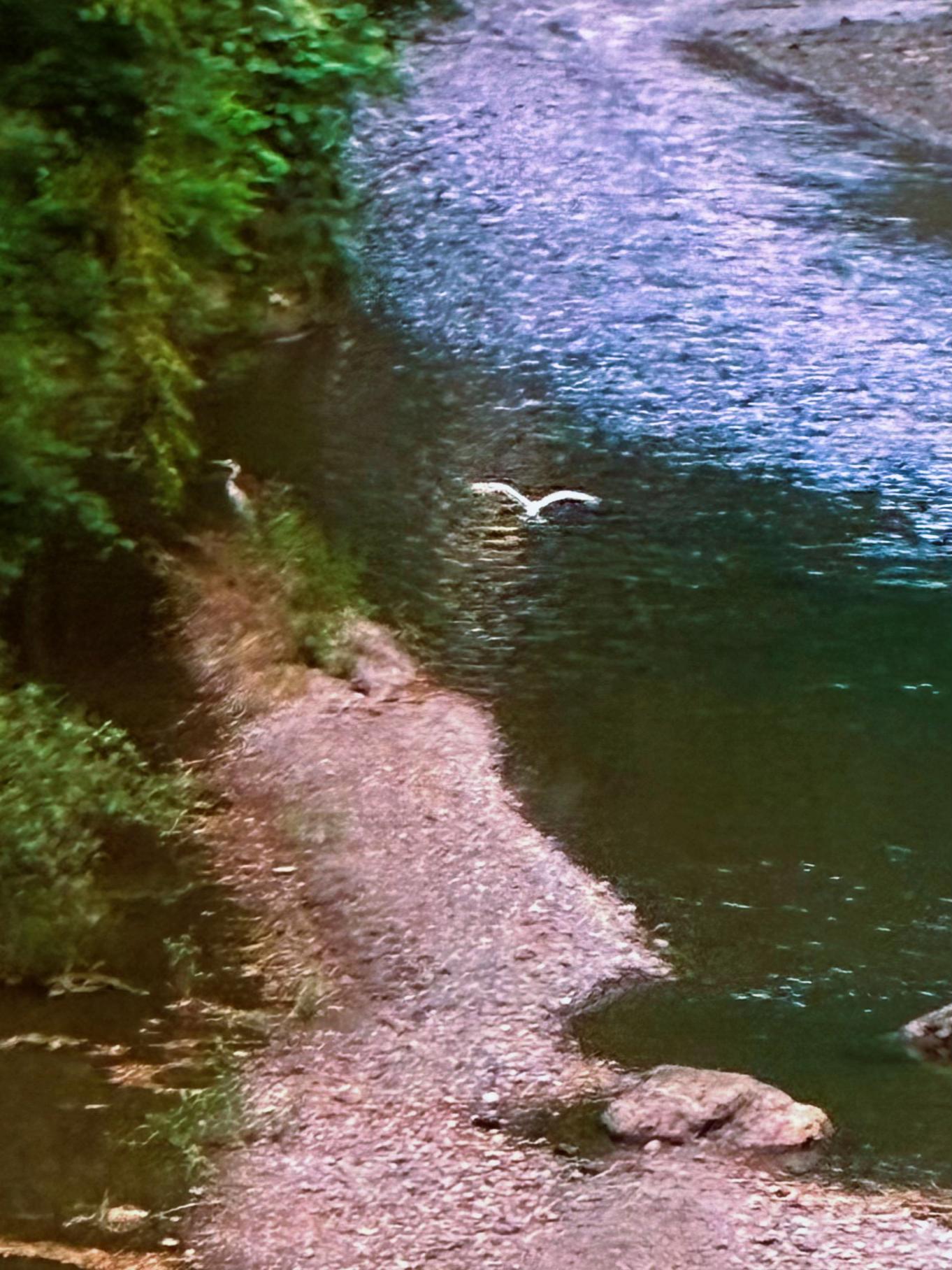 @パンダあねご🇯🇵🐼