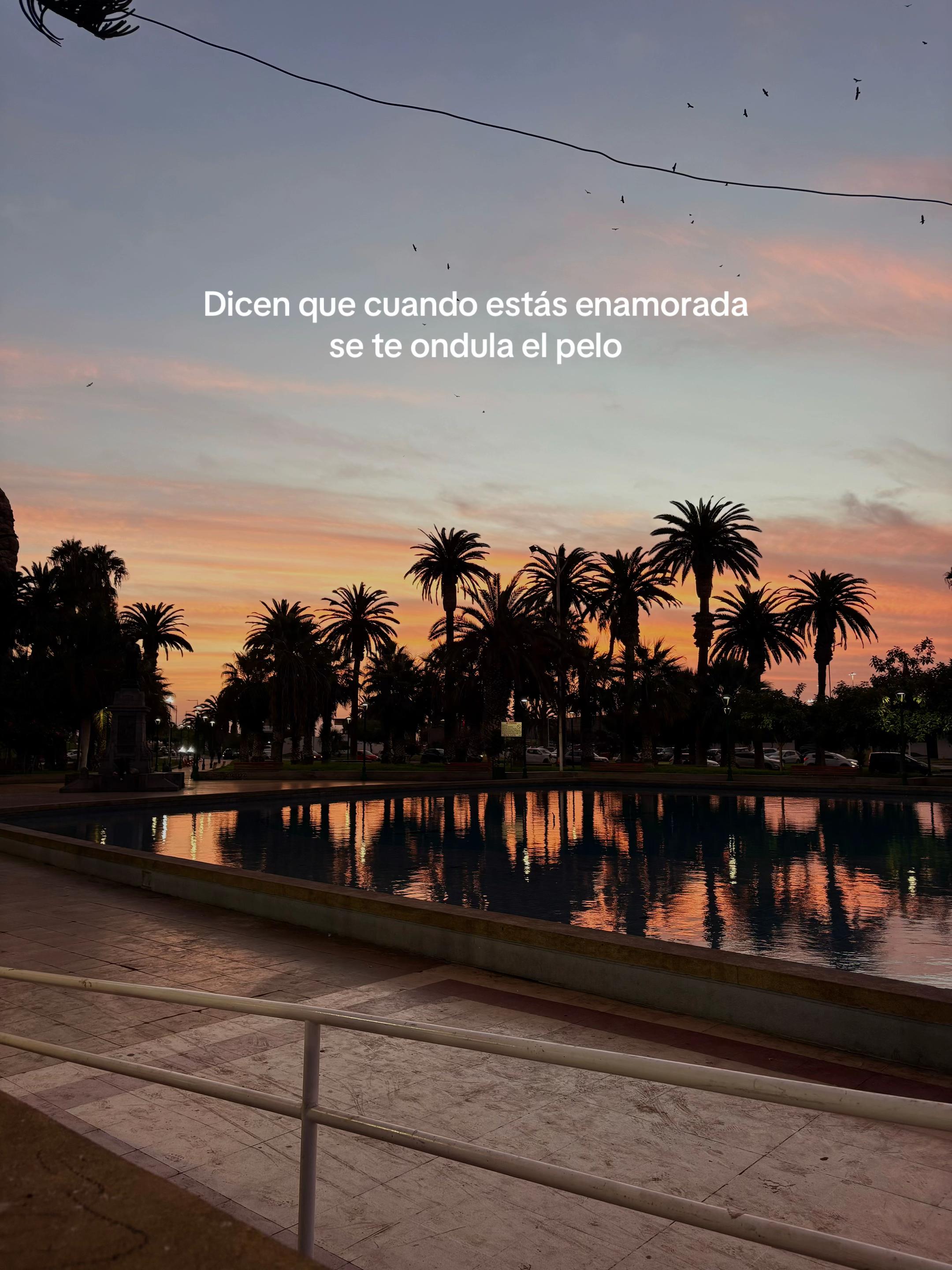 @almendra ๐