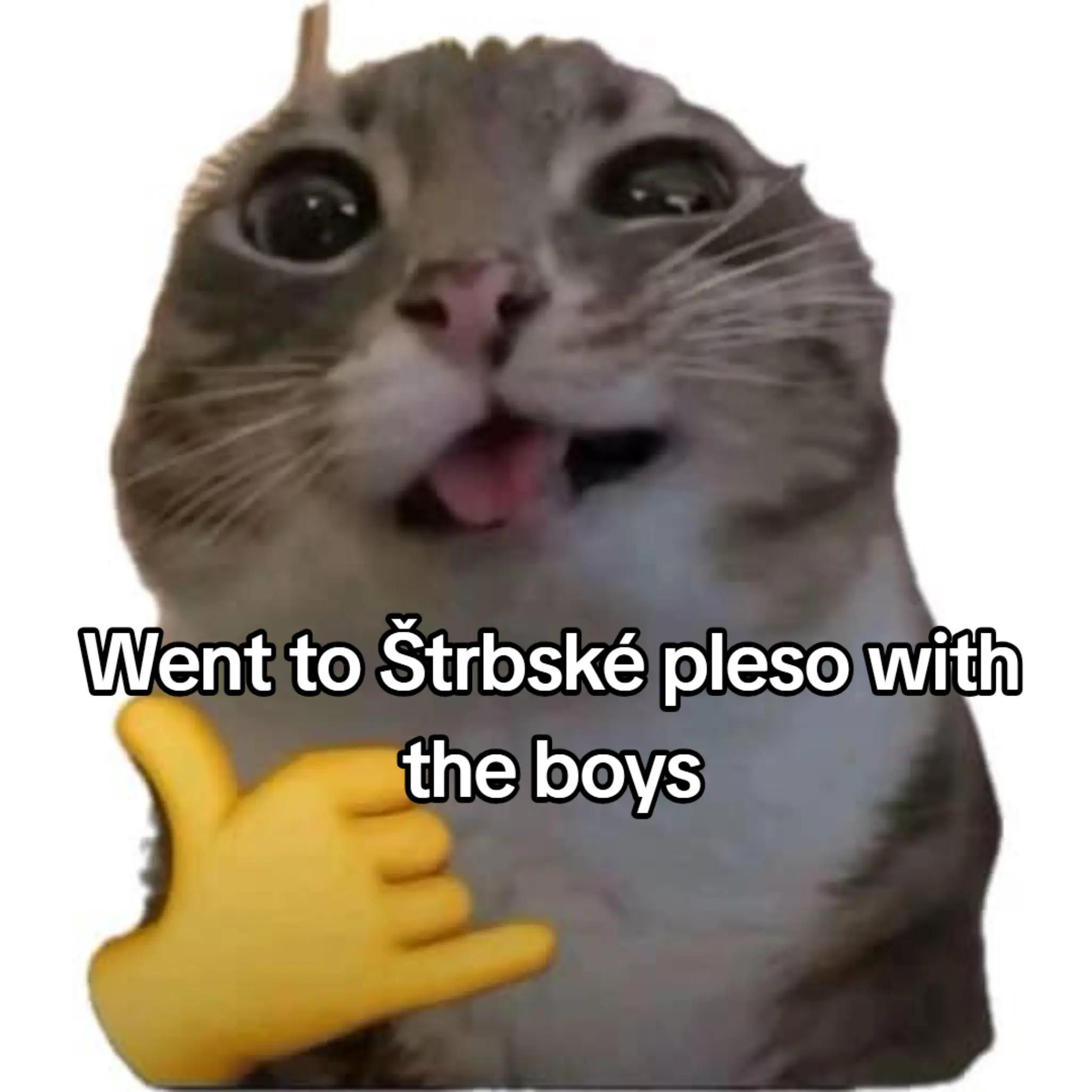 @๐๐๐๐ ๐๐๐๐๐๐๐๐