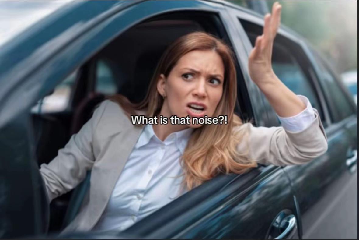 @𝙈𝙎𝙓.𝘼𝙑𝙄𝘼𝙏𝙄𝙊𝙉