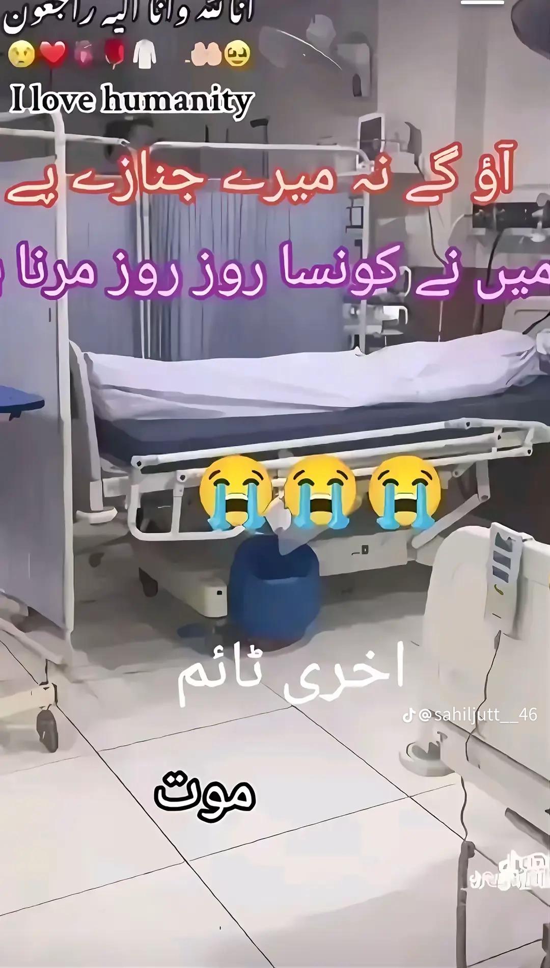 @AliHaider786🦁😎💫