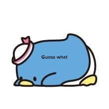 @๐จ Homosexuals ๐จ