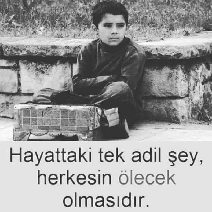 @farid.captain