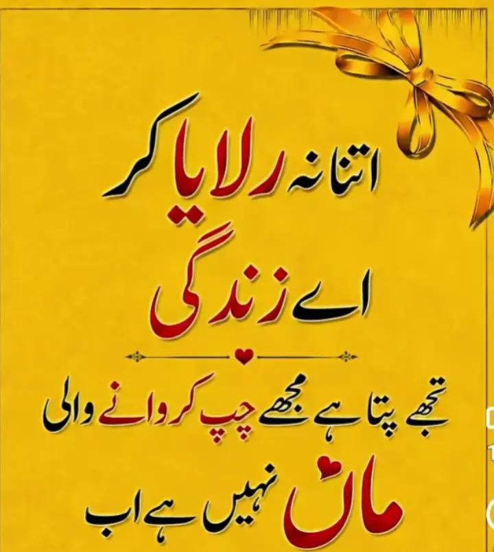 @M Hashim730