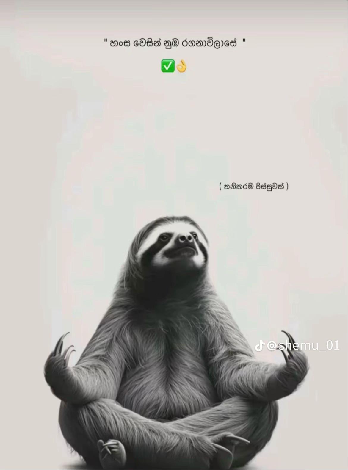 @මල්මී💓🍀
