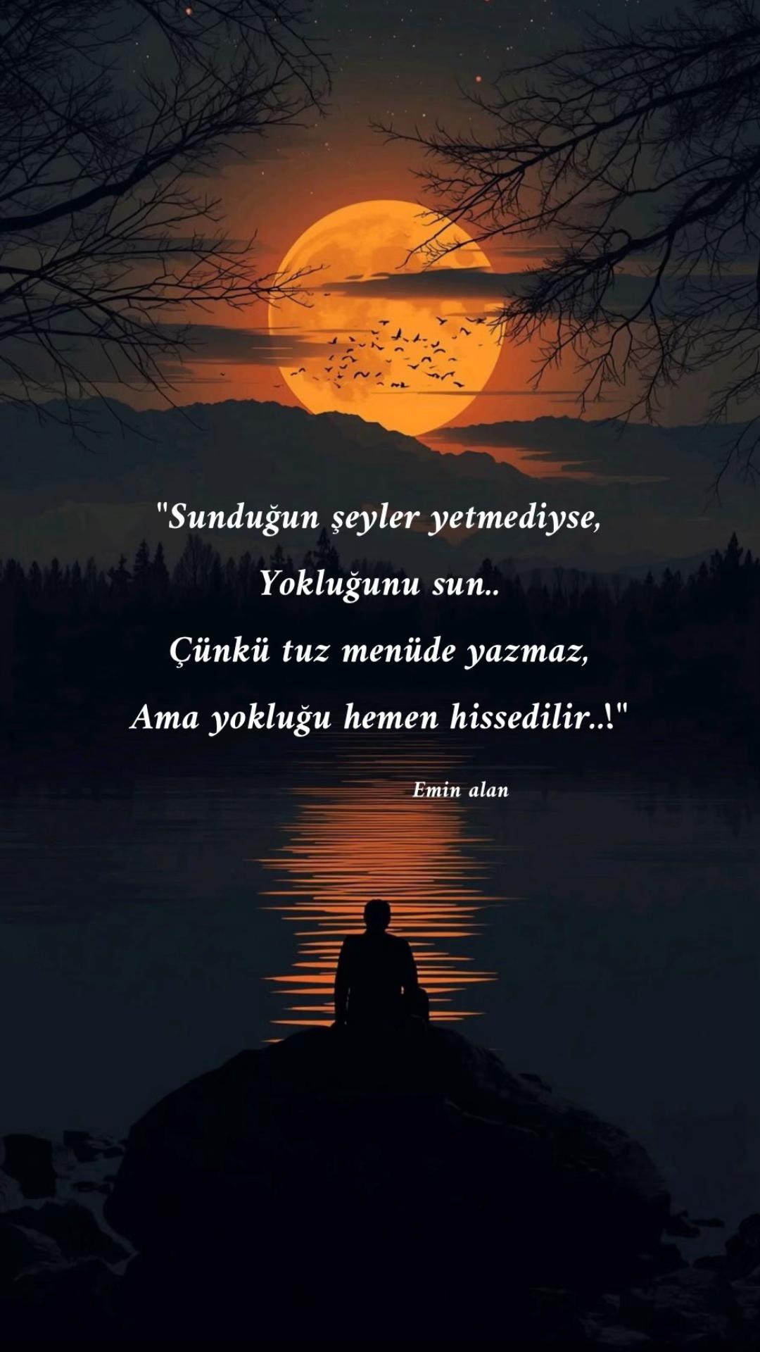 @Emin Alan