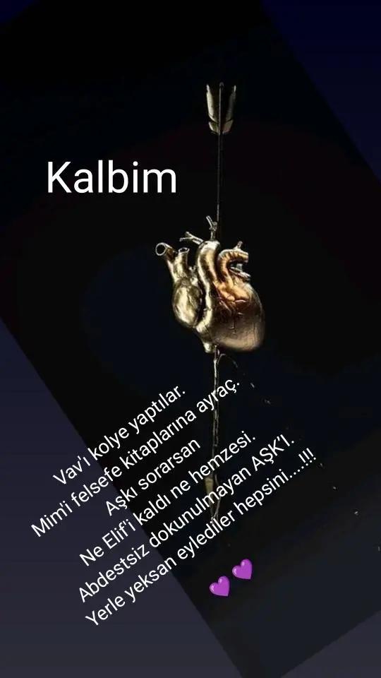 @BİR SERÇENİN GÖZYAŞ🕊️🕊️🕊️