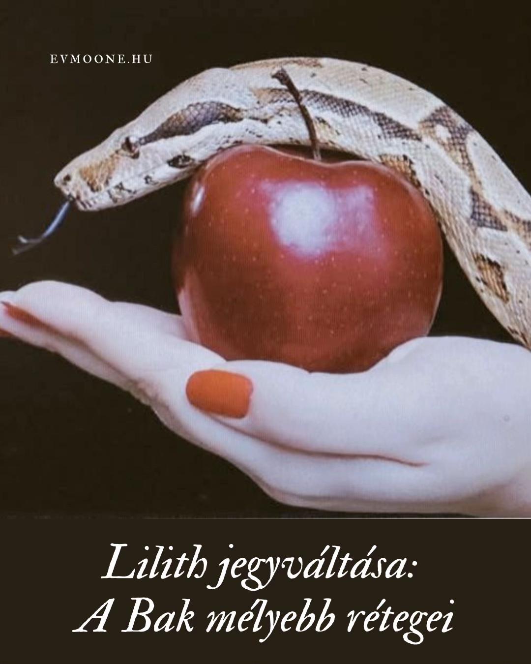 @SagWitch🪐