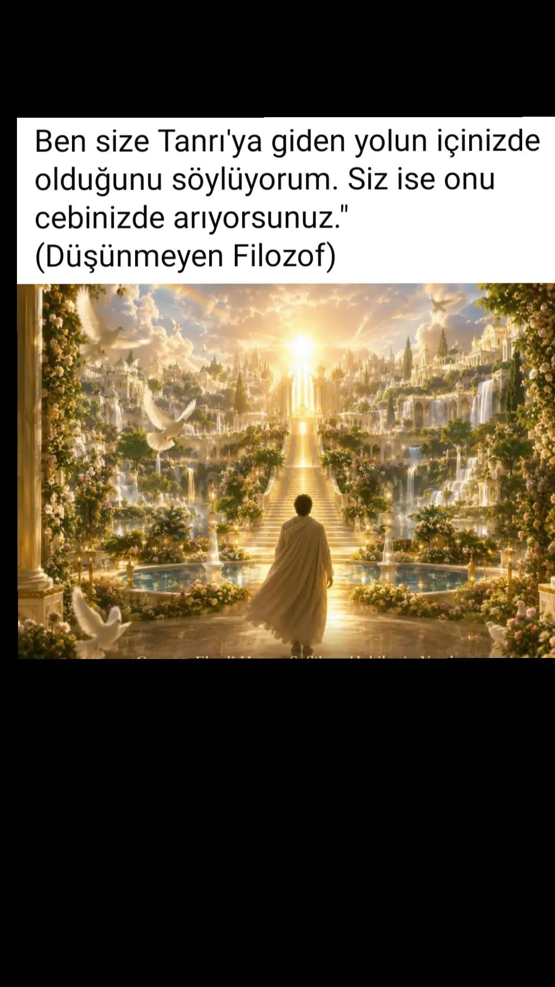 @Düşünmeyen filozof