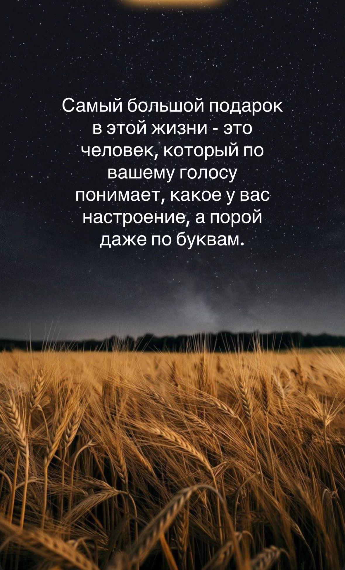 @Piste_gul🌻