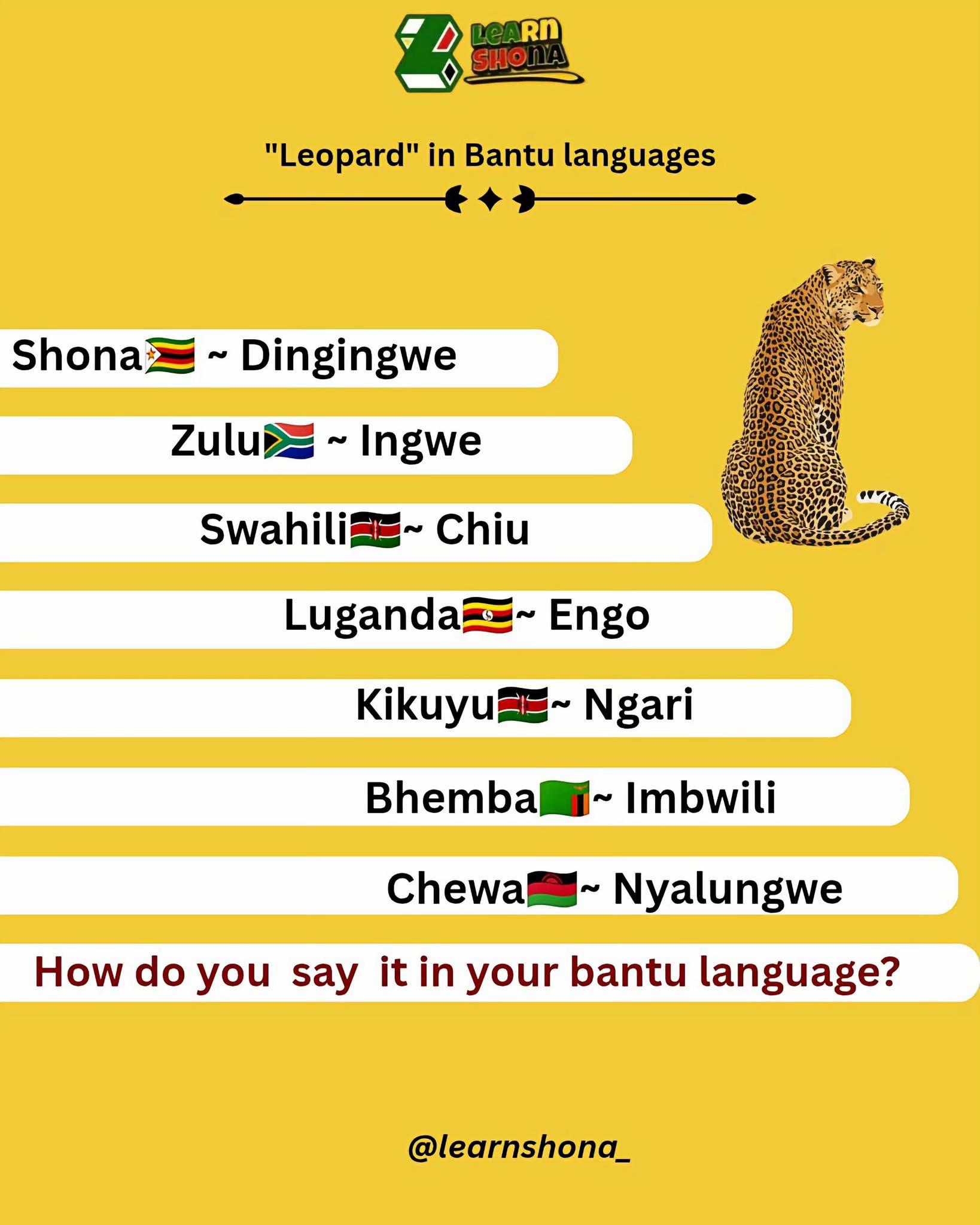 @Learn Shona