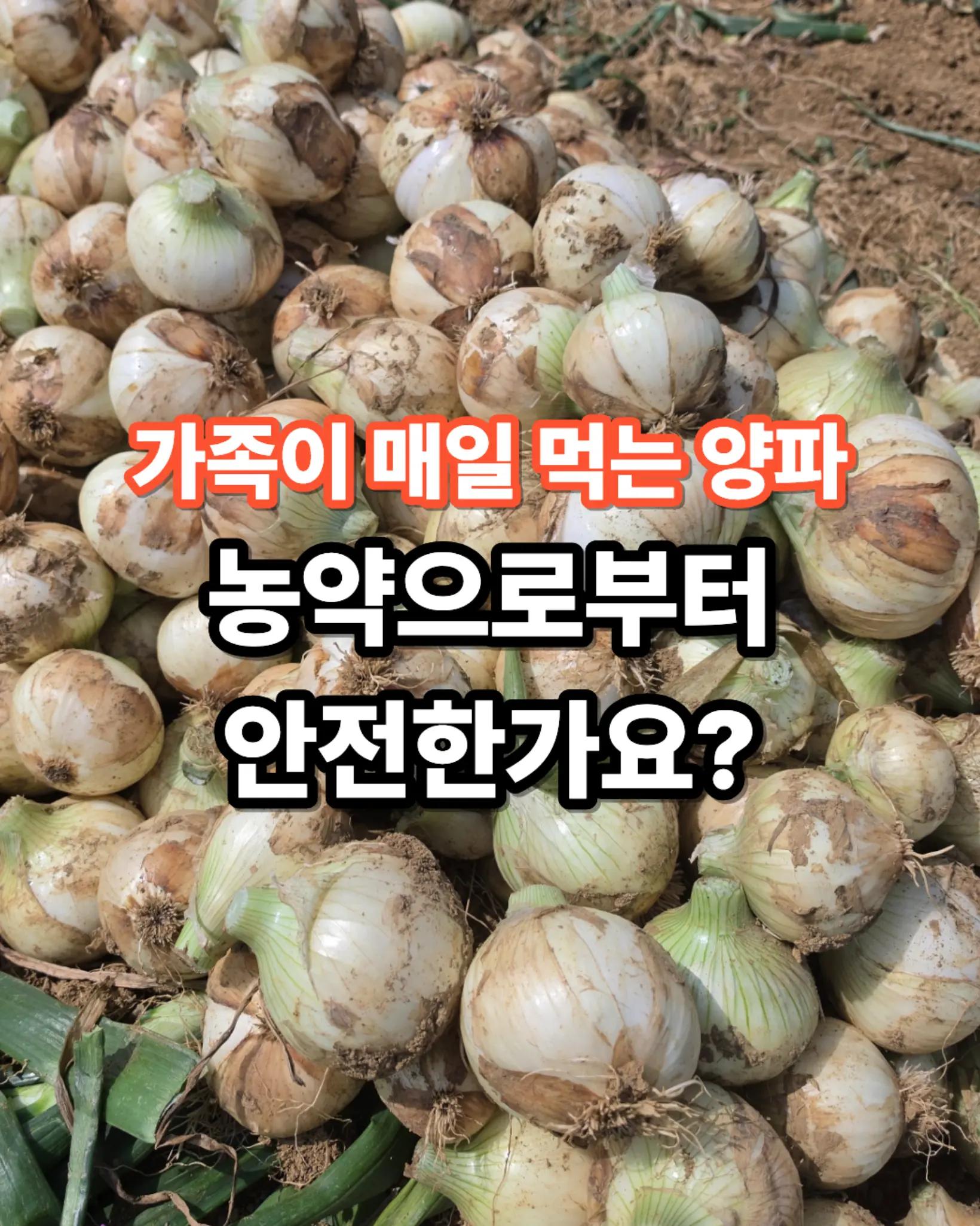@진심먹거리