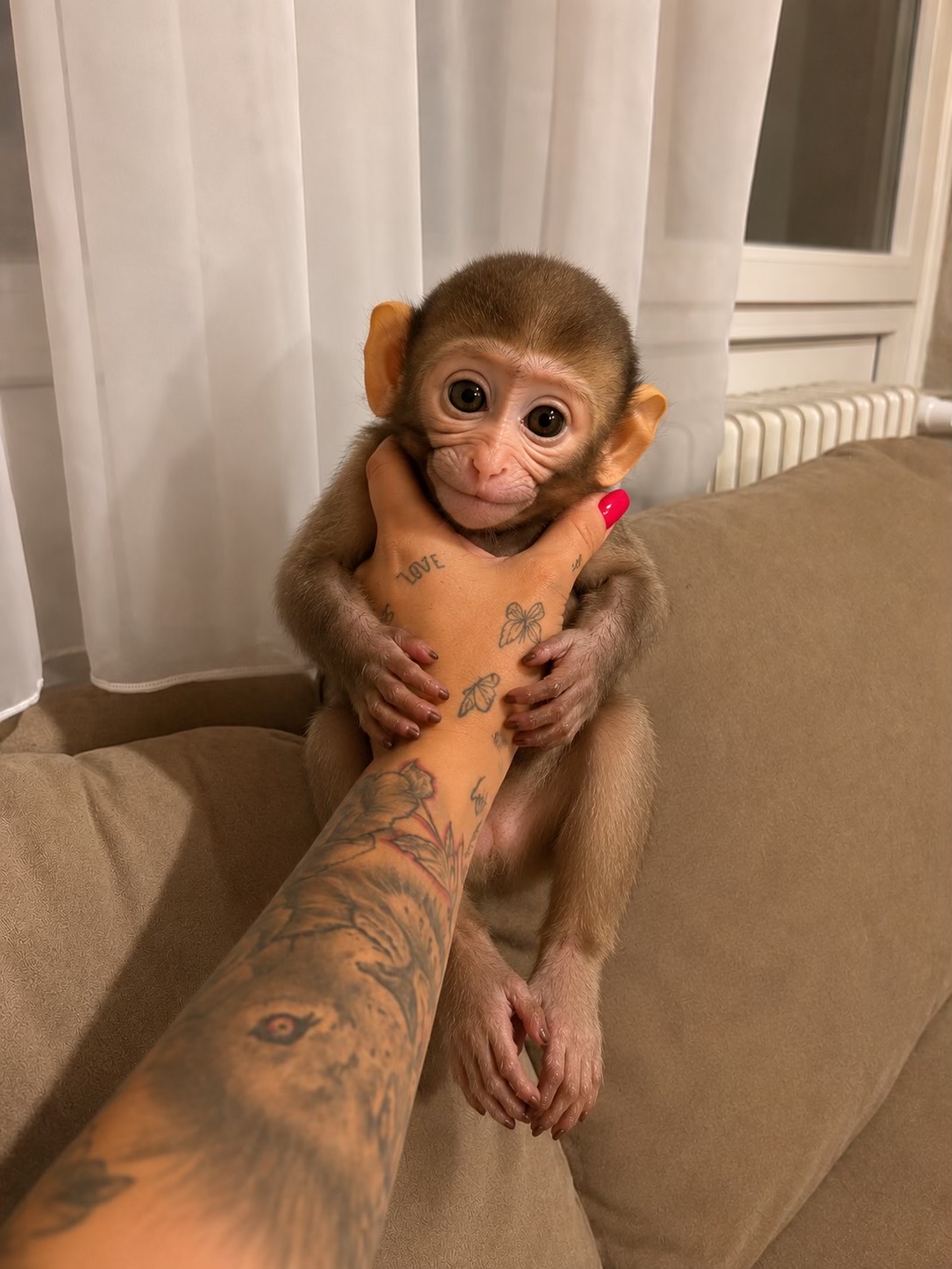 @KittiKittiVajai