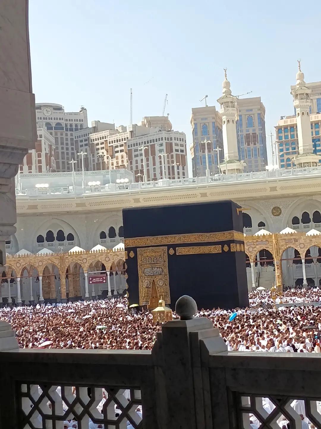 @⚘️ بجلی ☘️