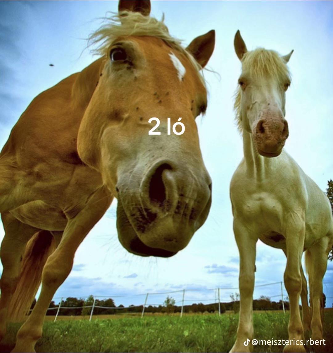 @Vivikee Mező