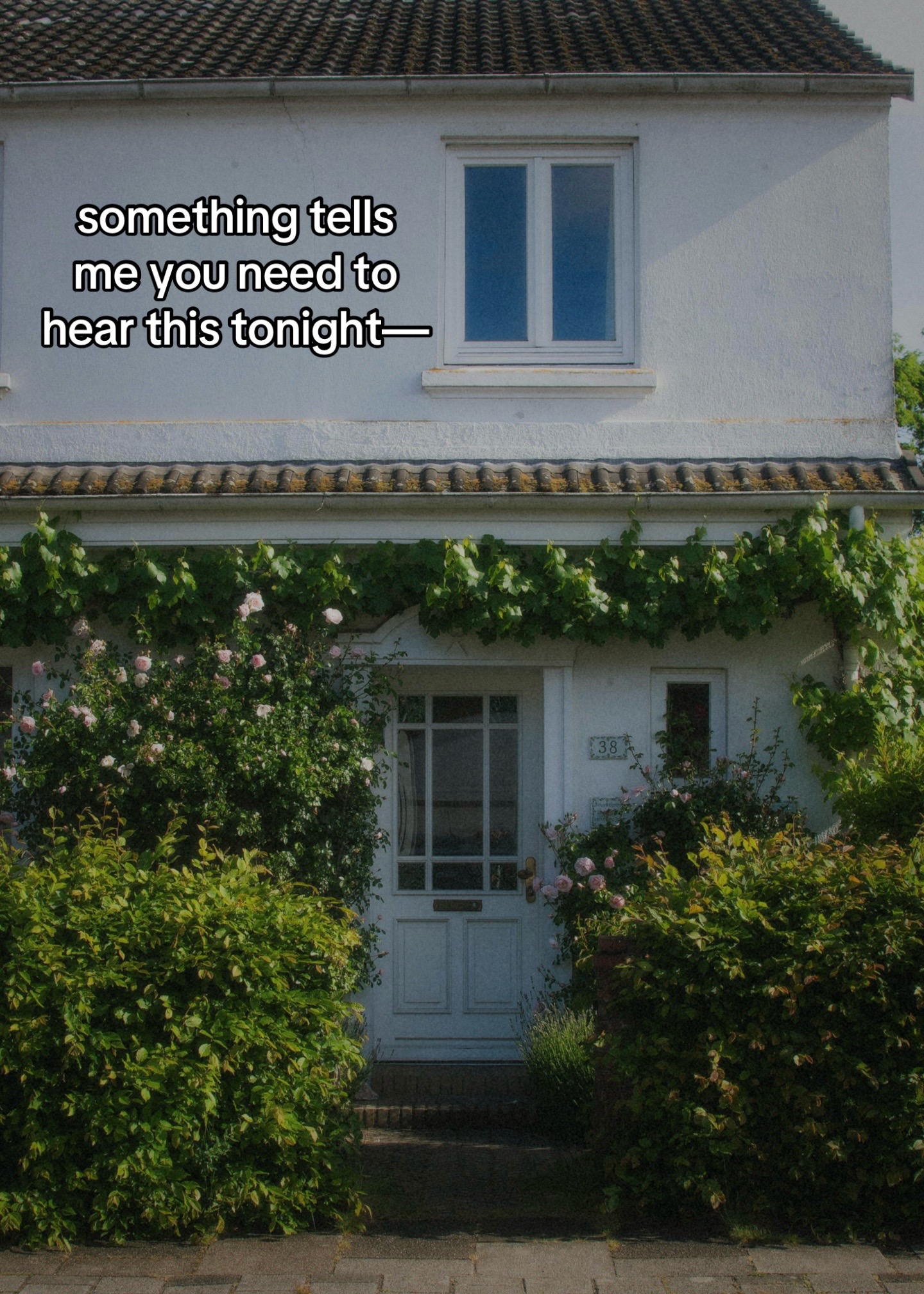 @Thought Catalog