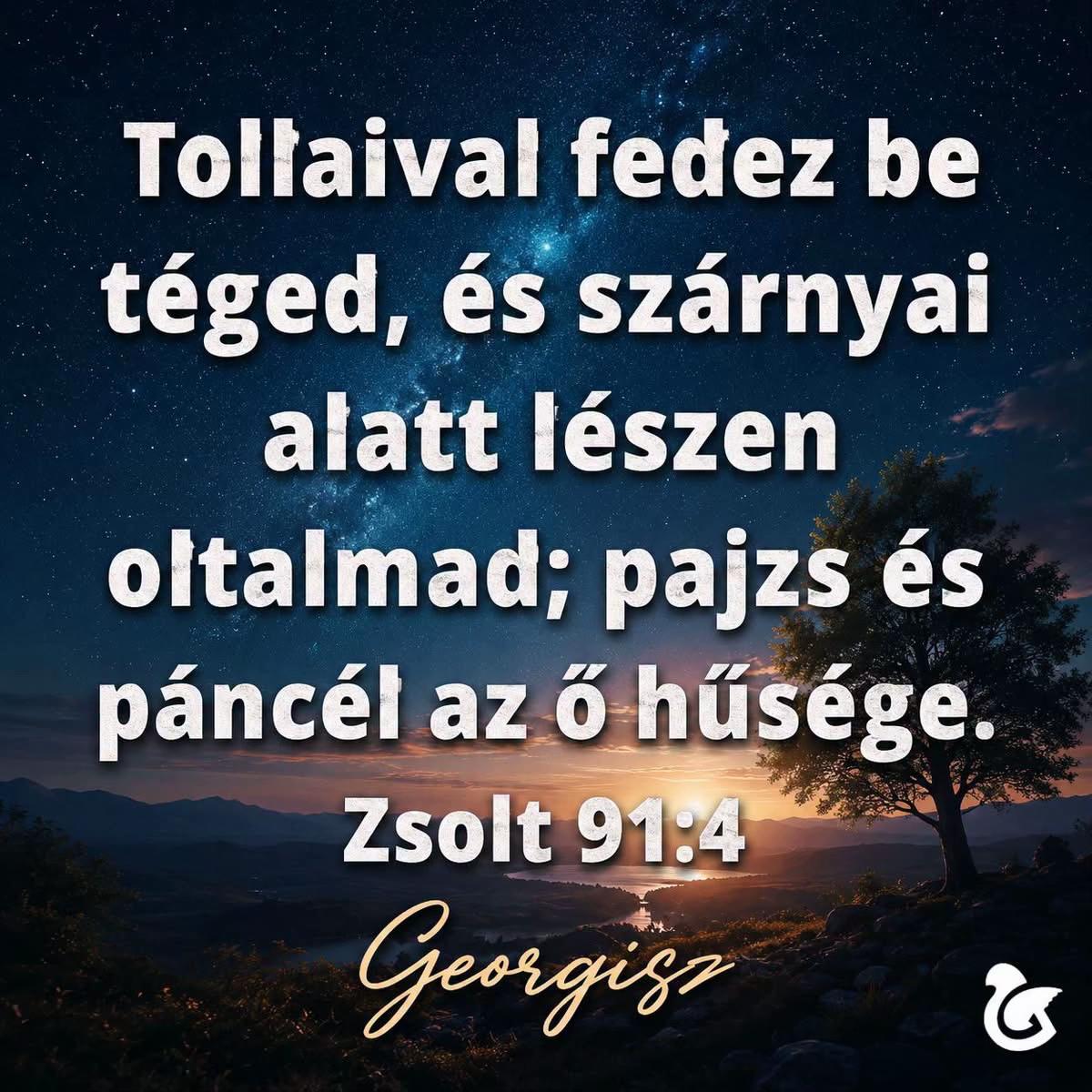 @Mónika Erős