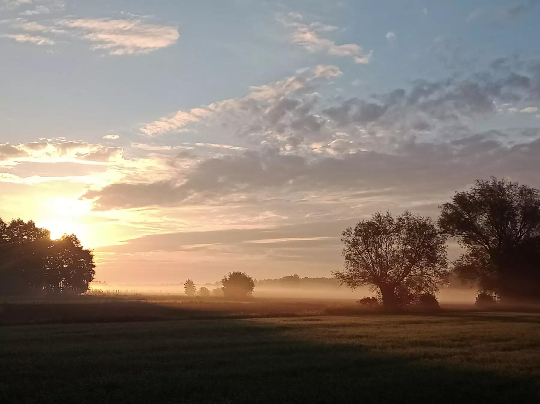 @Jaskółeczka 💫💫💫💫